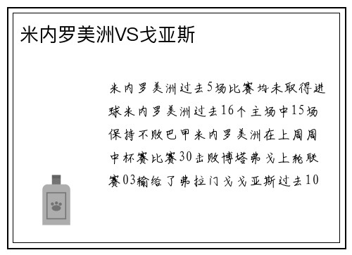 米内罗美洲VS戈亚斯