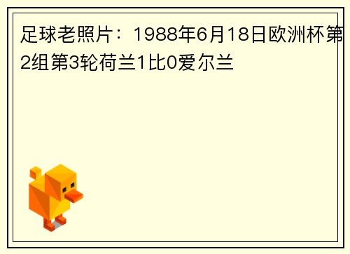 足球老照片：1988年6月18日欧洲杯第2组第3轮荷兰1比0爱尔兰